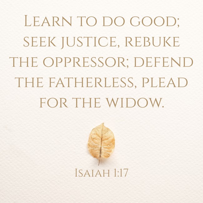Learn to do good; seek justice, rebuke the oppressor; defend the fatherless, plead for the widow. - Isaiah 1:17