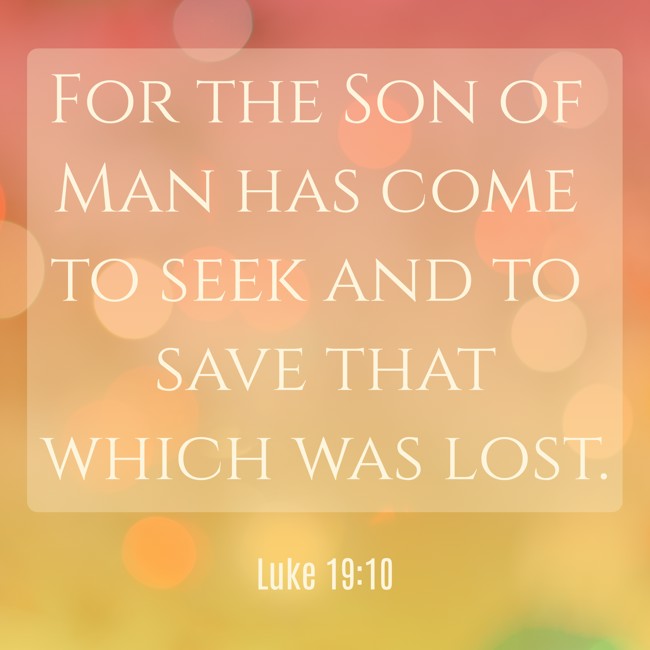 For the Son of Man has come to seek and to save that which was lost. - Luke 19:10