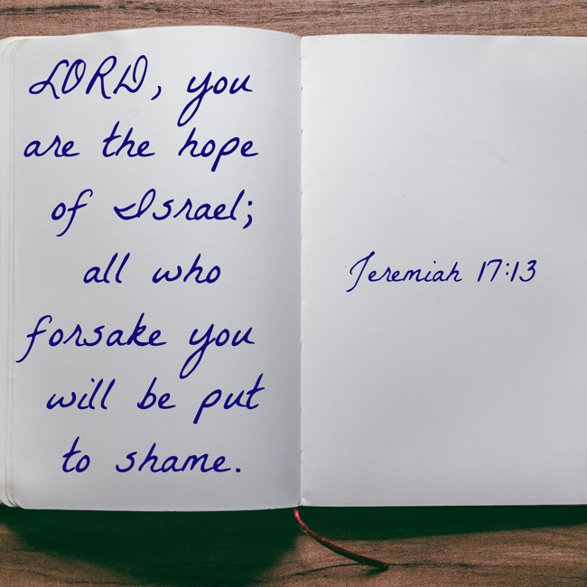 LORD, you are the hope of Israel; all who forsake you will be put to shame. - Jeremiah 17:13