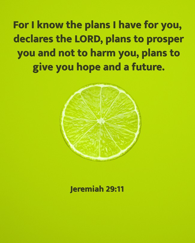 For I know the plans I have for you, declares the LORD, plans to prosper you and not to harm you, plans to give you hope and a future. - Jeremiah 29:11