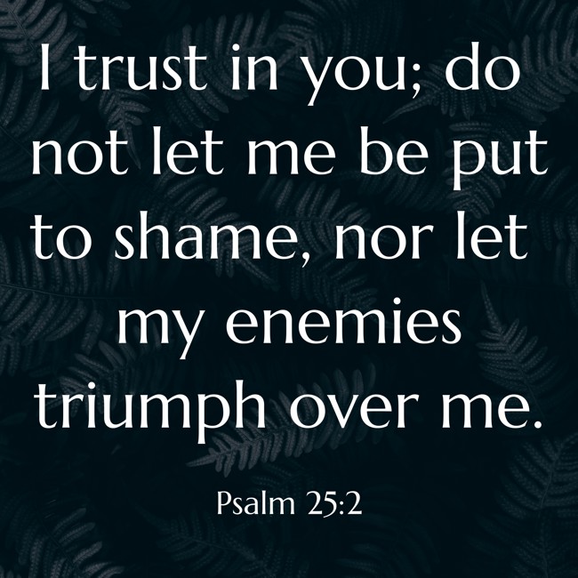 I trust in you; do not let me be put to shame, nor let my enemies triumph over me. - Psalm 25:2