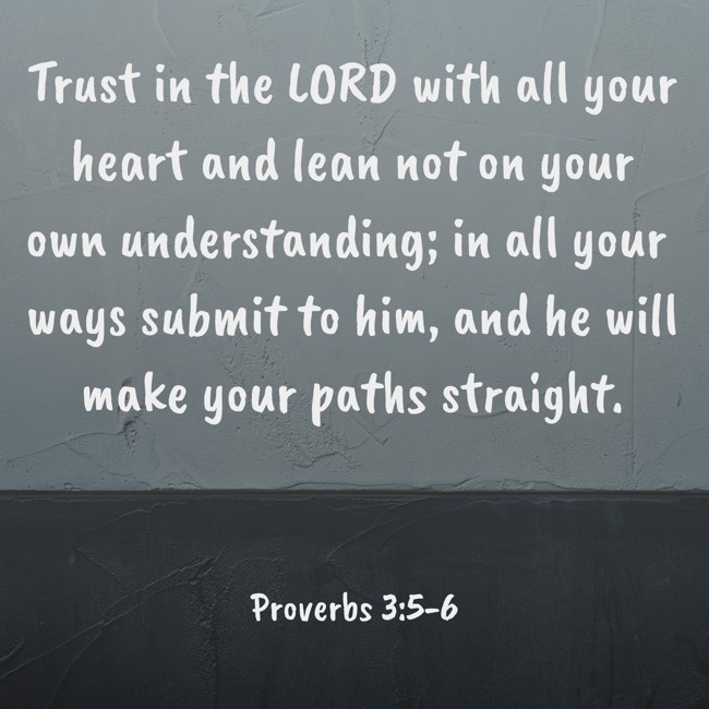 Trust in the LORD with all your heart and lean not on your own understanding; in all your ways submit to him, and he will make your paths straight. - Proverbs 3:5-6