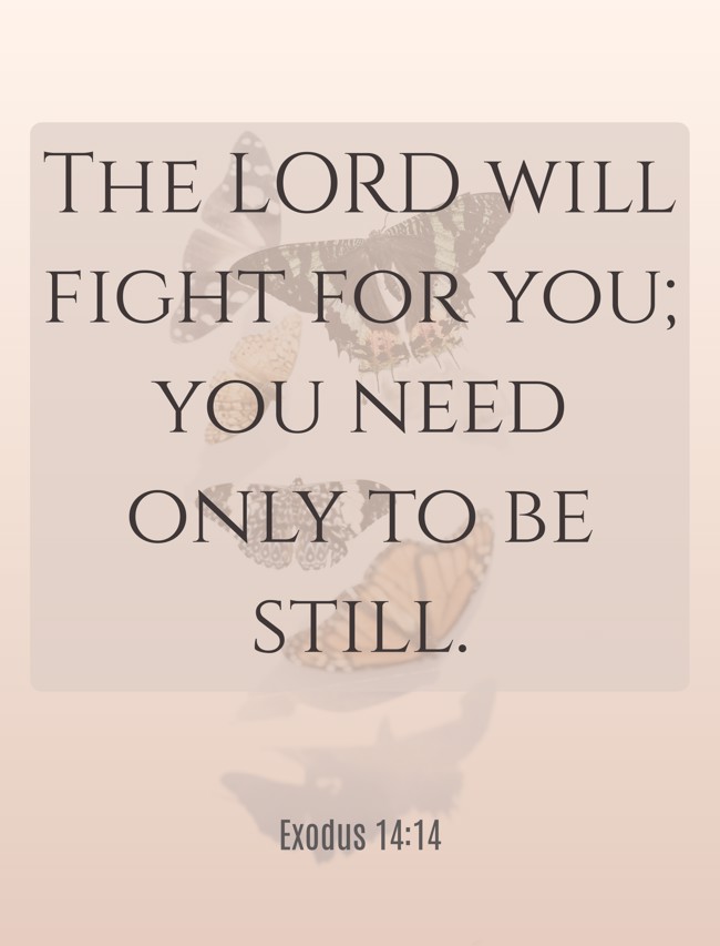 The LORD will fight for you; you need only to be still. - Exodus 14:14