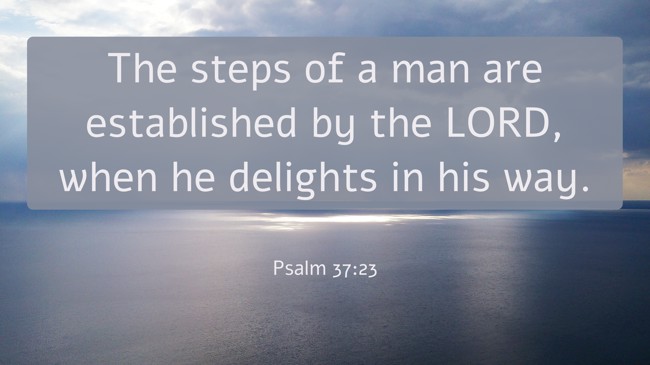 The steps of a man are established by the LORD, when he delights in his way. - Psalm 37:23