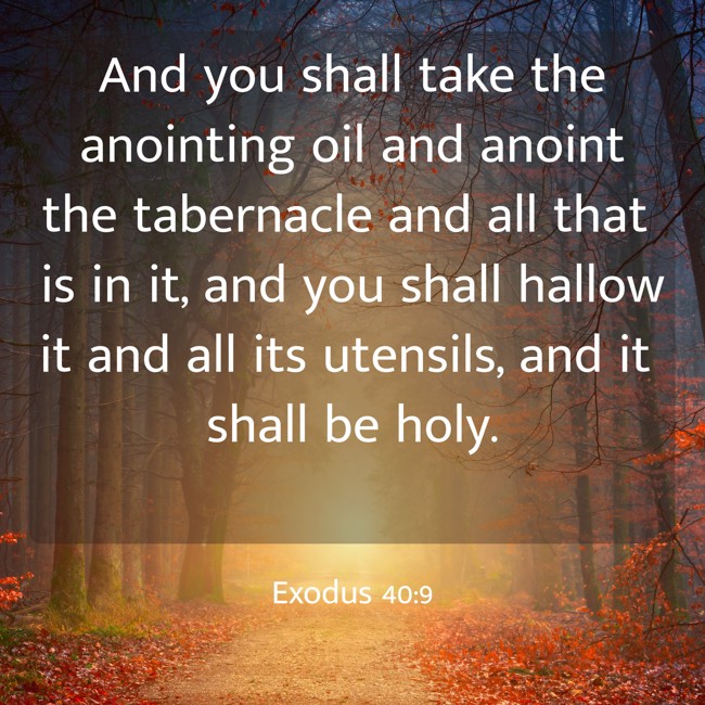 And you shall take the anointing oil and anoint the tabernacle and all that is in it, and you shall hallow it and all its utensils, and it shall be holy. - Exodus 40:9