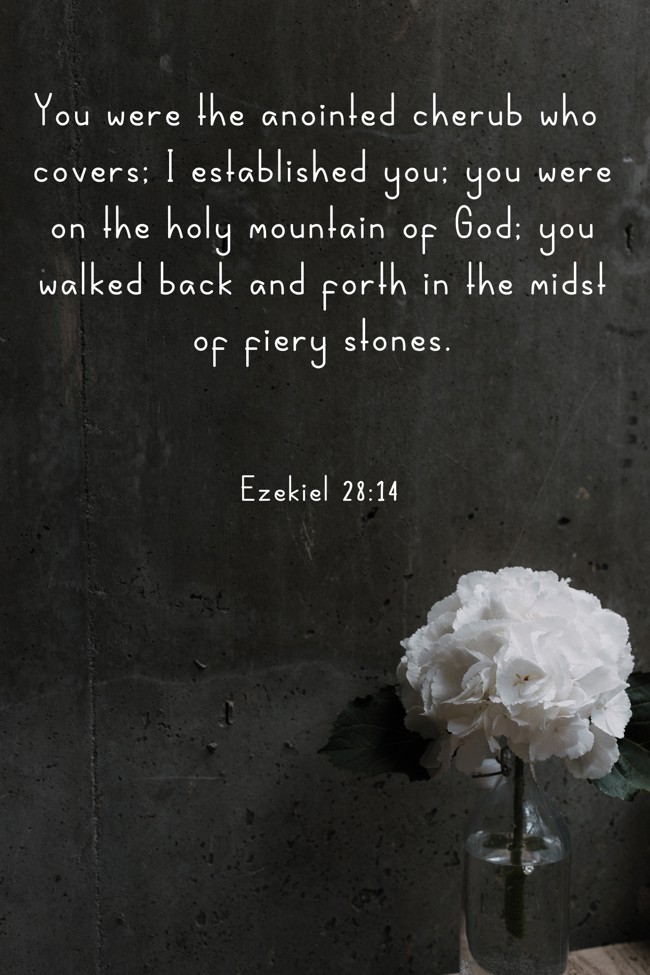 You were the anointed cherub who covers; I established you; you were on the holy mountain of God; you walked back and forth in the midst of fiery stones. - Ezekiel 28:14