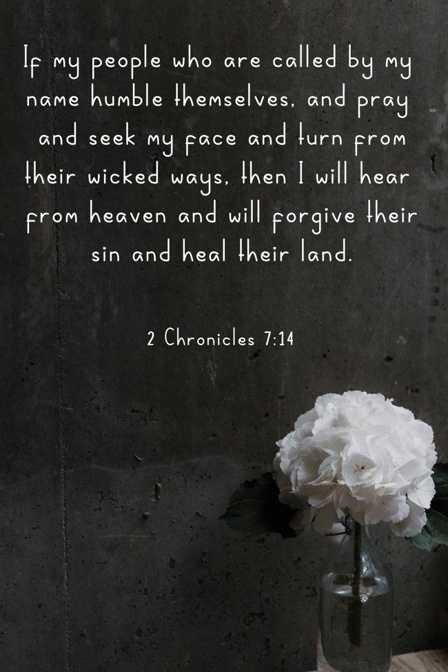 If my people who are called by my name humble themselves, and pray and seek my face and turn from their wicked ways, then I will hear from heaven and will forgive their sin and heal their land. - 2 Chronicles 7:14