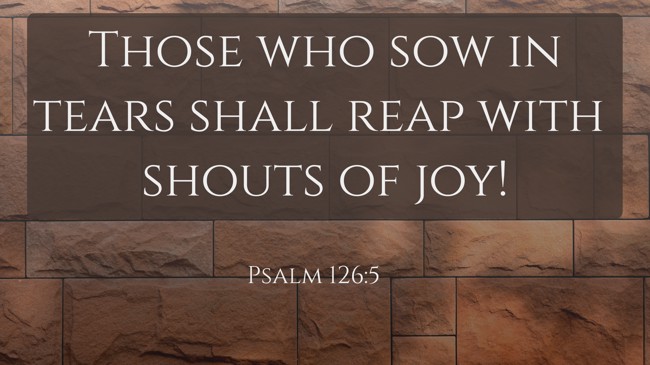 Those who sow in tears shall reap with shouts of joy! - Psalm 126:5
