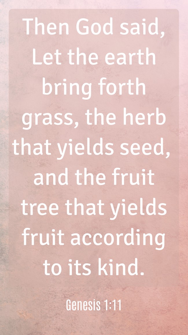Then God said, Let the earth bring forth grass, the herb that yields seed, and the fruit tree that yields fruit according to its kind. - Genesis 1:11