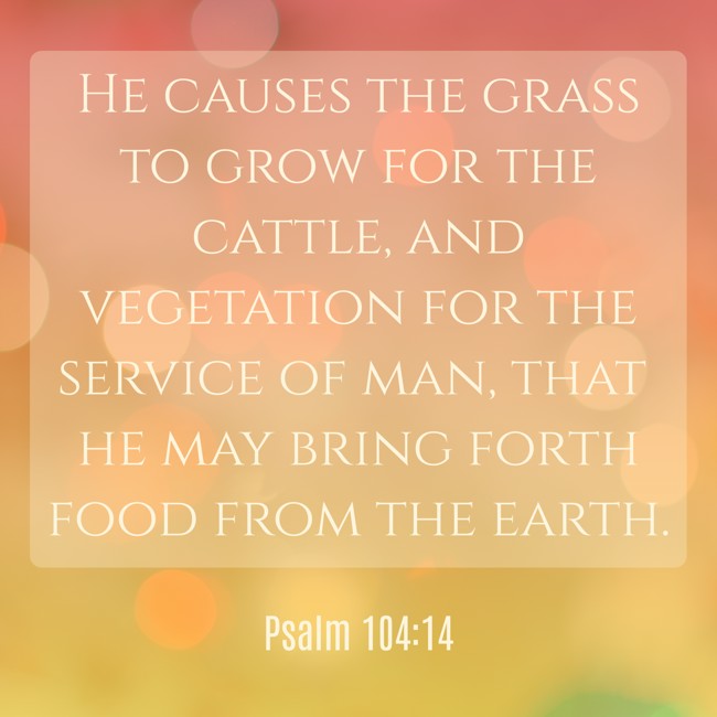 He causes the grass to grow for the cattle, and vegetation for the service of man, that he may bring forth food from the earth. - Psalm 104:14