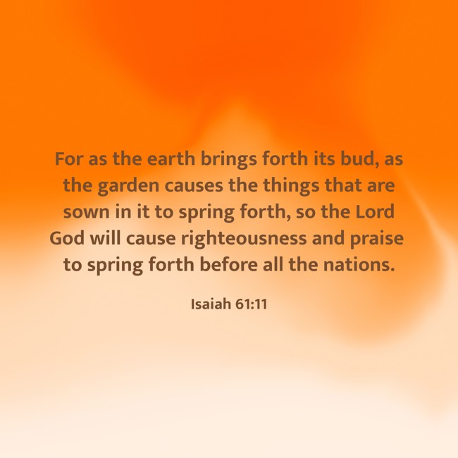For as the earth brings forth its bud, as the garden causes the things that are sown in it to spring forth, so the Lord God will cause righteousness and praise to spring forth before all the nations. - Isaiah 61:11