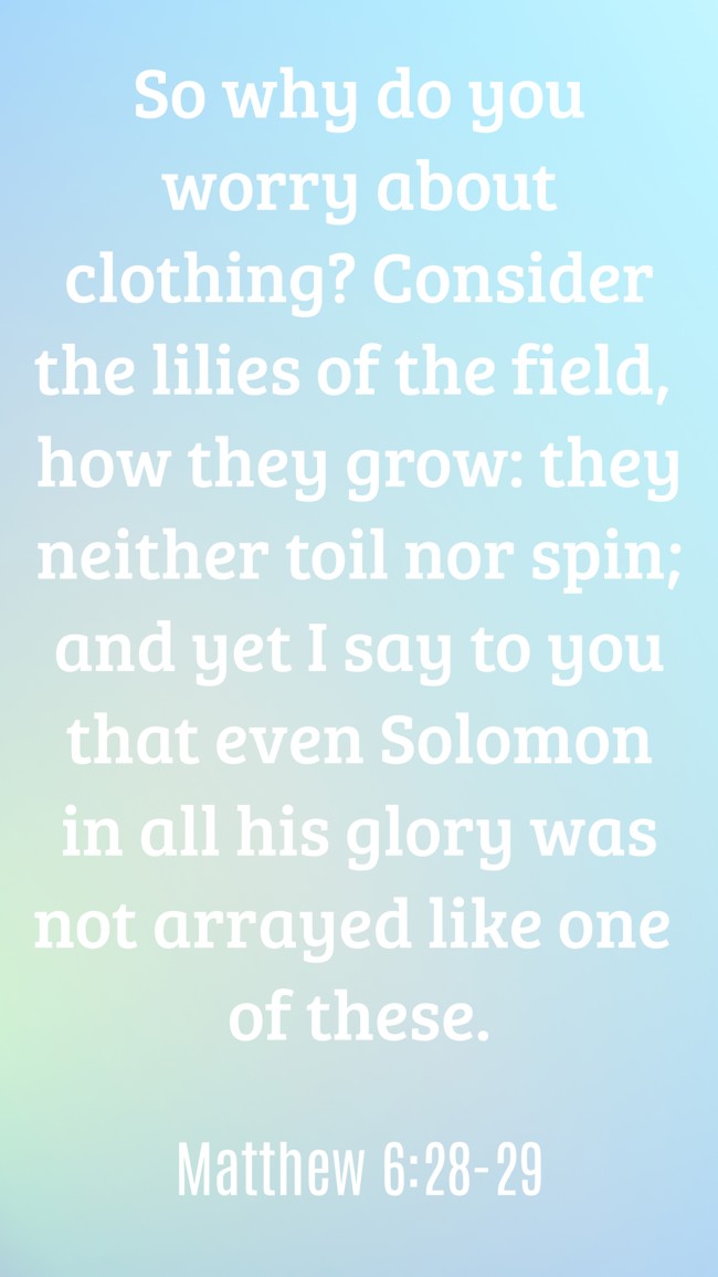 So why do you worry about clothing? Consider the lilies of the field, how they grow: they neither toil nor spin; and yet I say to you that even Solomon in all his glory was not arrayed like one of these. - Matthew 6:28-29
