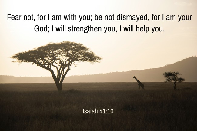 Fear not, for I am with you; be not dismayed, for I am your God; I will strengthen you, I will help you. - Isaiah 41:10