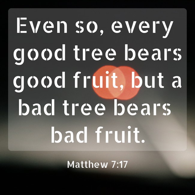 Even so, every good tree bears good fruit, but a bad tree bears bad fruit. - Matthew 7:17