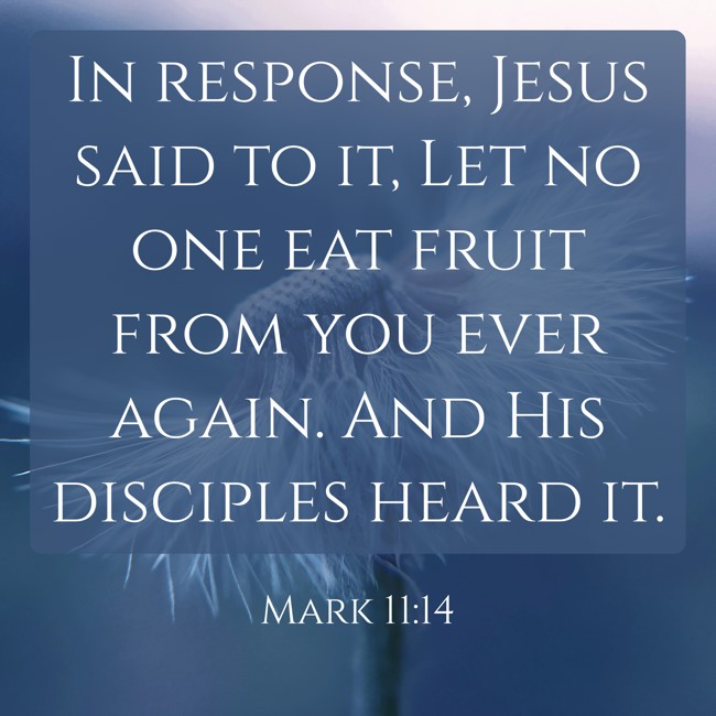 In response, Jesus said to it, Let no one eat fruit from you ever again. And His disciples heard it. - Mark 11:14