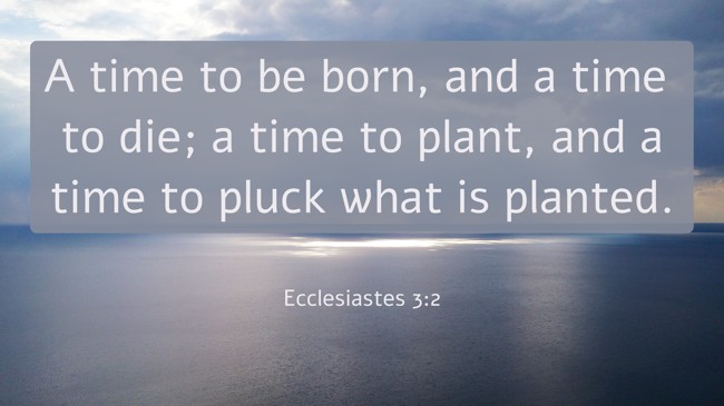 A time to be born, and a time to die; a time to plant, and a time to pluck what is planted. - Ecclesiastes 3:2