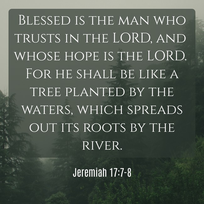 Blessed is the man who trusts in the LORD, and whose hope is the LORD. For he shall be like a tree planted by the waters, which spreads out its roots by the river. - Jeremiah 17:7-8