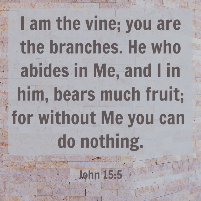I am the vine; you are the branches. He who abides in Me, and I in him, bears much fruit; for without Me you can do nothing. - John 15:5