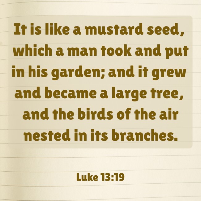 It is like a mustard seed, which a man took and put in his garden; and it grew and became a large tree, and the birds of the air nested in its branches. - Luke 13:19