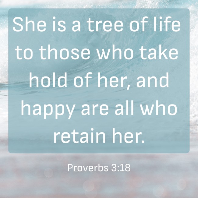 She is a tree of life to those who take hold of her, and happy are all who retain her. - Proverbs 3:18