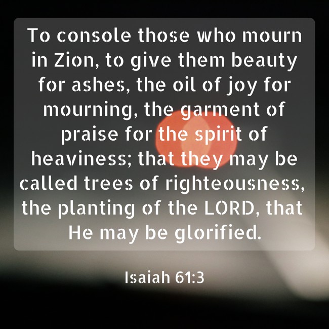 To console those who mourn in Zion, to give them beauty for ashes, the oil of joy for mourning, the garment of praise for the spirit of heaviness; that they may be called trees of righteousness, the planting of the LORD, that He may be glorified. - Isaiah 61:3