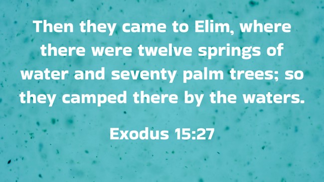 Then they came to Elim, where there were twelve springs of water and seventy palm trees; so they camped there by the waters. - Exodus 15:27