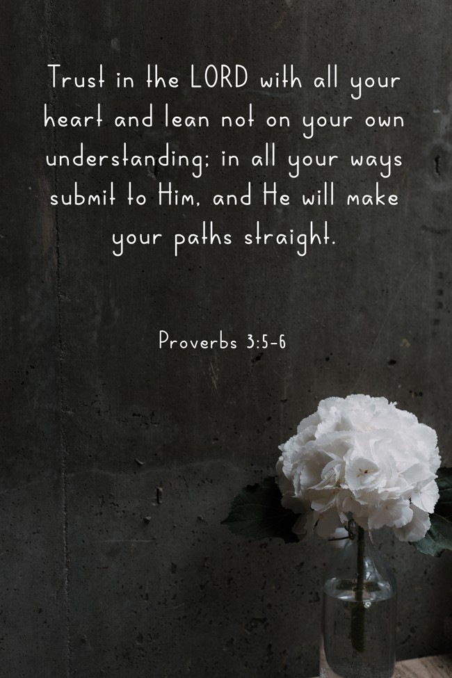 Trust in the LORD with all your heart and lean not on your own understanding; in all your ways submit to Him, and He will make your paths straight. - Proverbs 3:5-6