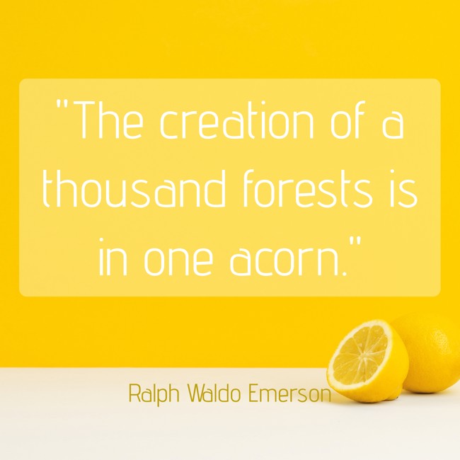 The creation of a thousand forests is in one acorn. - Ralph Waldo Emerson