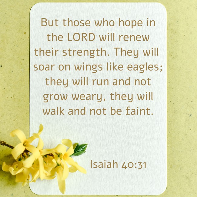 But those who hope in the LORD will renew their strength. They will soar on wings like eagles; they will run and not grow weary, they will walk and not be faint. - Isaiah 40:31