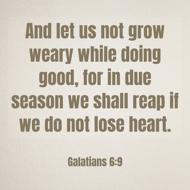 And let us not grow weary while doing good, for in due season we shall reap if we do not lose heart. - Galatians 6:9