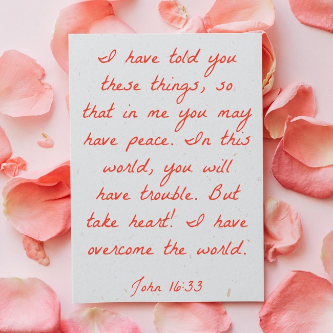 I have told you these things, so that in me you may have peace. In this world, you will have trouble. But take heart! I have overcome the world. - John 16:33