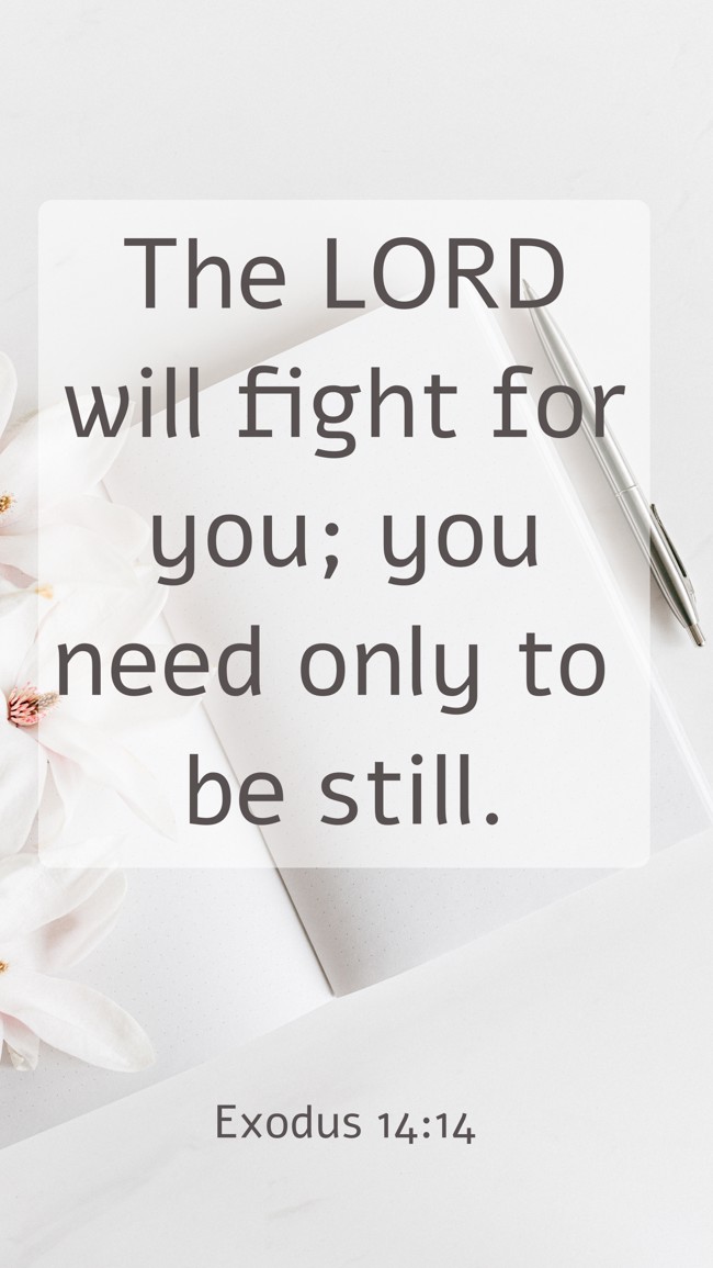 The LORD will fight for you; you need only to be still. - Exodus 14:14