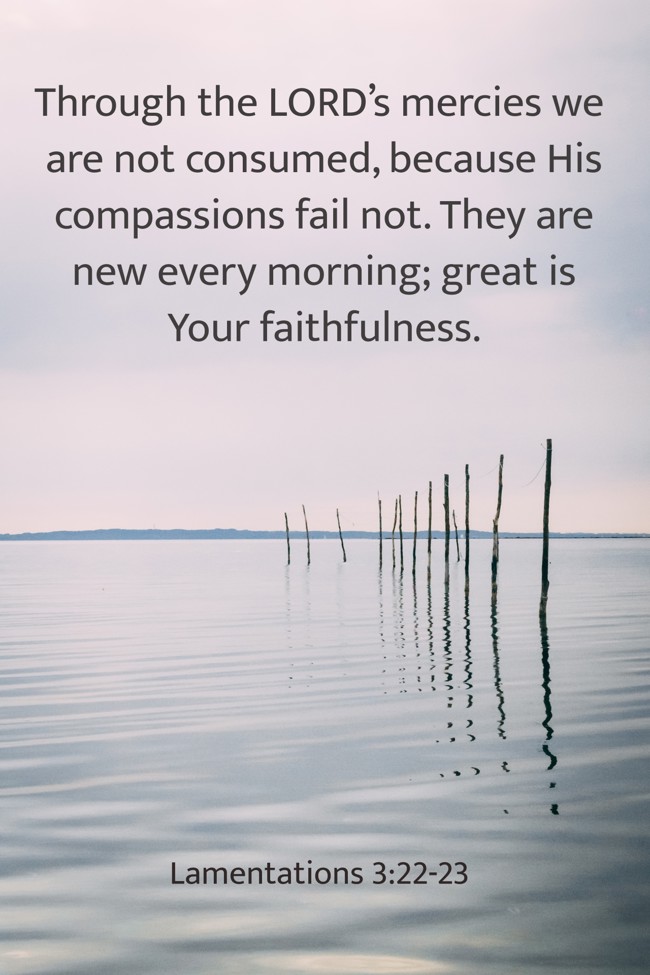 Through the LORD’s mercies we are not consumed, because His compassions fail not. They are new every morning; great is Your faithfulness. - Lamentations 3:22-23