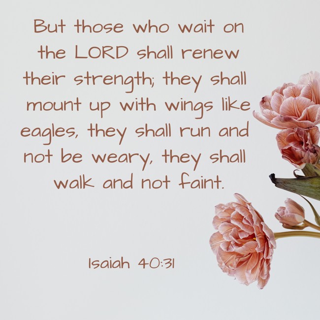 But those who wait on the LORD shall renew their strength; they shall mount up with wings like eagles, they shall run and not be weary, they shall walk and not faint. - Isaiah 40:31