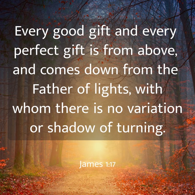 Every good gift and every perfect gift is from above, and comes down from the Father of lights, with whom there is no variation or shadow of turning. - James 1:17