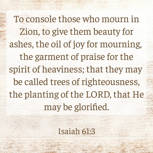 To console those who mourn in Zion, to give them beauty for ashes, the oil of joy for mourning, the garment of praise for the spirit of heaviness; that they may be called trees of righteousness, the planting of the LORD, that He may be glorified. - Isaiah 61:3