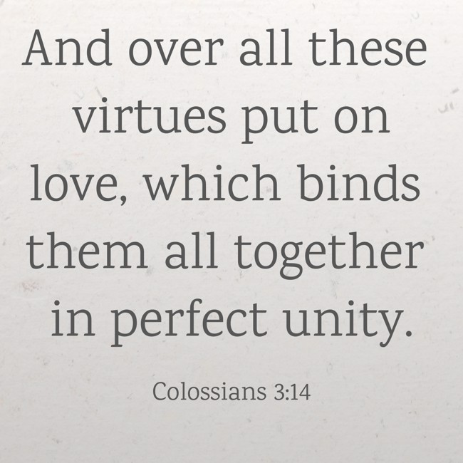 And over all these virtues put on love, which binds them all together in perfect unity. - Colossians 3:14