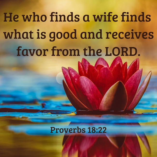 He who finds a wife finds what is good and receives favor from the LORD. - Proverbs 18:22