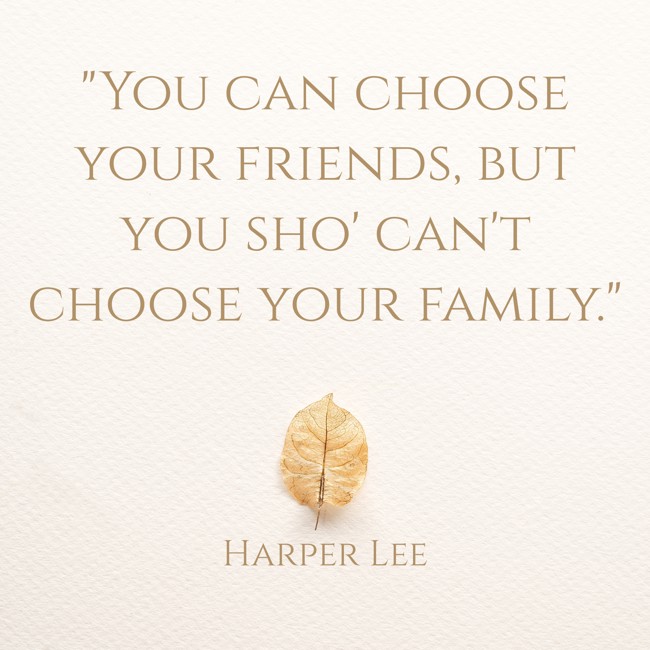 You can choose your friends, but you sho' can't choose your family. - Harper Lee