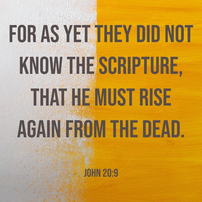  For as yet they did not know the Scripture, that He must rise again from the dead.   - John 20:9 