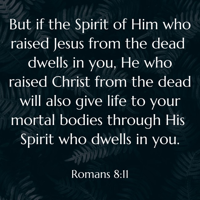  But if the Spirit of Him who raised Jesus from the dead dwells in you, He who raised Christ from the dead will also give life to your mortal bodies through His Spirit who dwells in you.   - Romans 8:11 