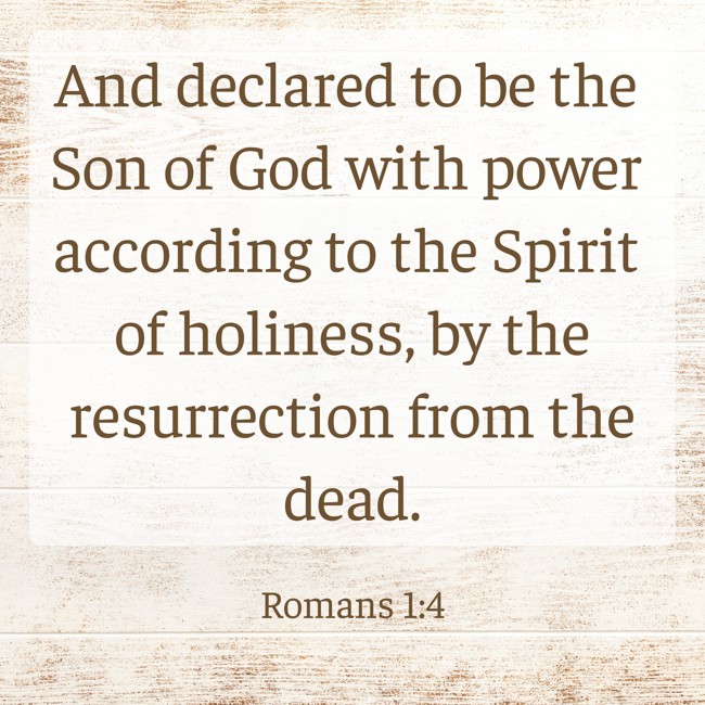  And declared to be the Son of God with power according to the Spirit of holiness, by the resurrection from the dead.   - Romans 1:4 