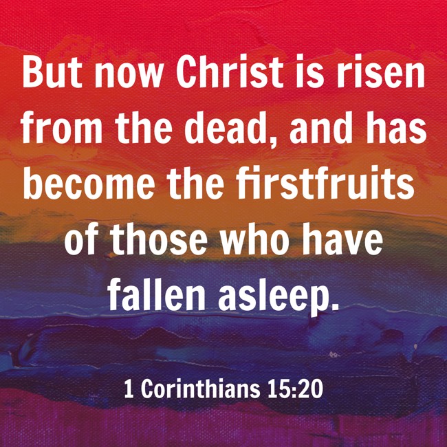  But now Christ is risen from the dead, and has become the firstfruits of those who have fallen asleep.   - 1 Corinthians 15:20 