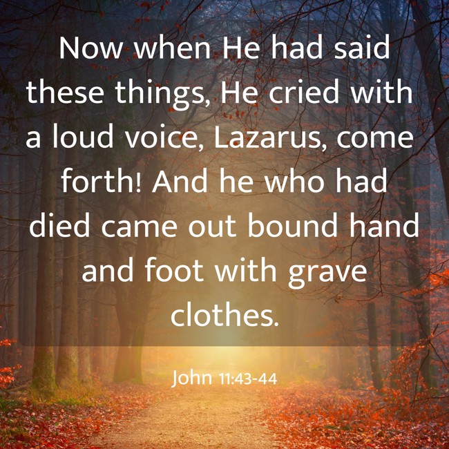  Now when He had said these things, He cried with a loud voice, Lazarus, come forth! And he who had died came out bound hand and foot with grave clothes. - John 11:43-44 