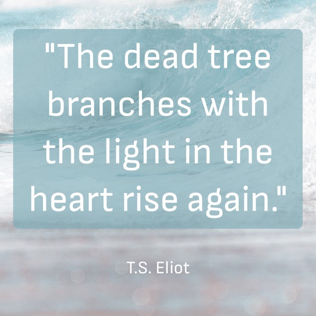  The dead tree branches with the light in the heart rise again.   - T.S. Eliot 