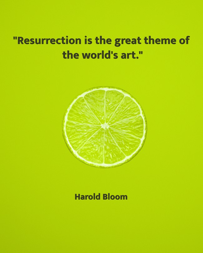  Resurrection is the great theme of the world's art.   - Harold Bloom 