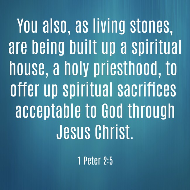 You also, as living stones, are being built up a spiritual house, a holy priesthood, to offer up spiritual sacrifices acceptable to God through Jesus Christ. - 1 Peter 2:5