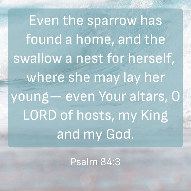 Even the sparrow has found a home, and the swallow a nest for herself, where she may lay her young— even Your altars, O LORD of hosts, my King and my God. - Psalm 84:3