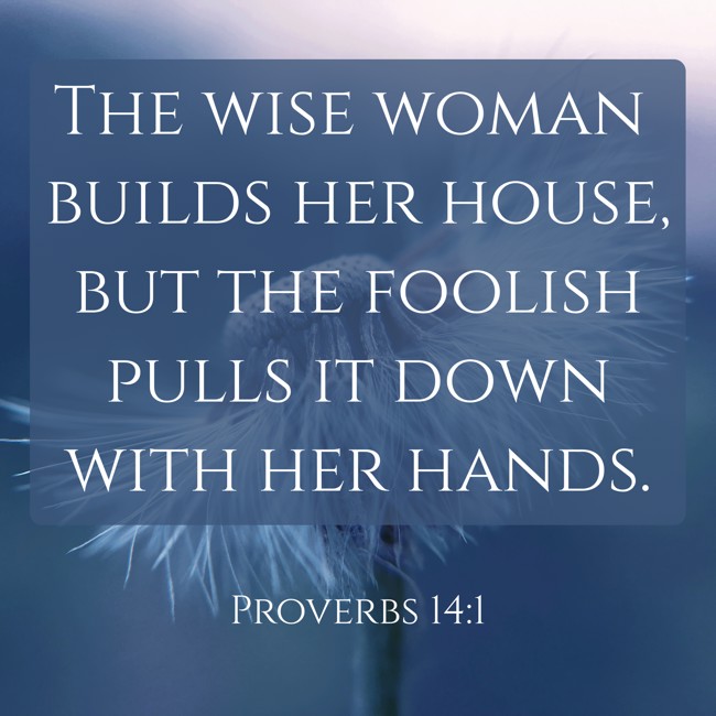 The wise woman builds her house, but the foolish pulls it down with her hands. - Proverbs 14:1