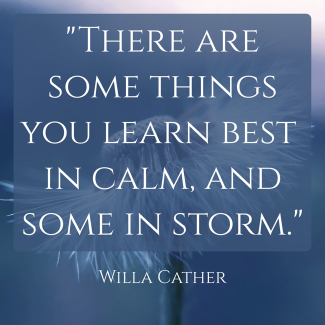 There are some things you learn best in calm, and some in storm. - Willa Cather